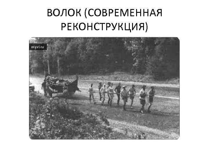 ВОЛОК (СОВРЕМЕННАЯ РЕКОНСТРУКЦИЯ) 