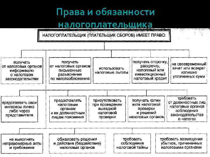 Права и обязанности налогоплательщика 