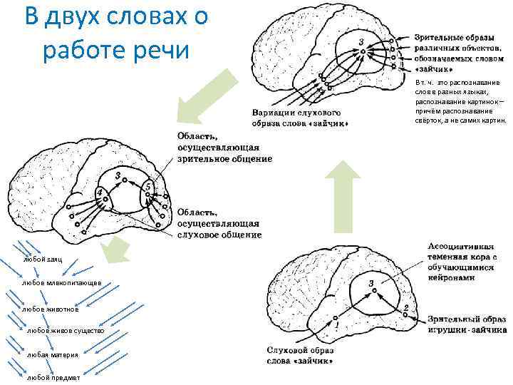 В двух словах о работе речи В т. ч. это распознавание слов в разных