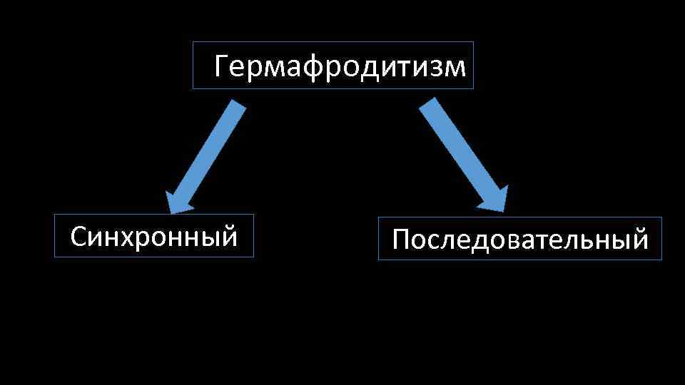 ГГермафродитизм Синхронный Последовательный 