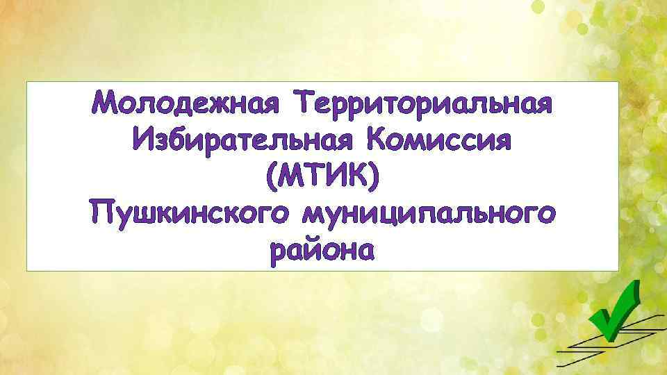 Молодежная Территориальная Избирательная Комиссия (МТИК) Пушкинского муниципального района 