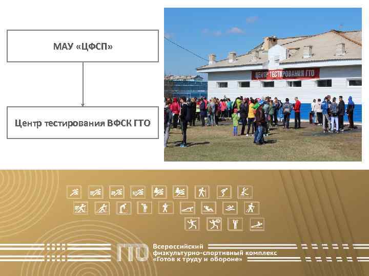 МАУ «ЦФСП» Центр тестирования ВФСК ГТО 