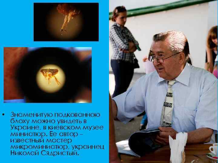  • Знаменитую подкованною блоху можно увидеть в Украине, в киевском музее миниатюр. Ее