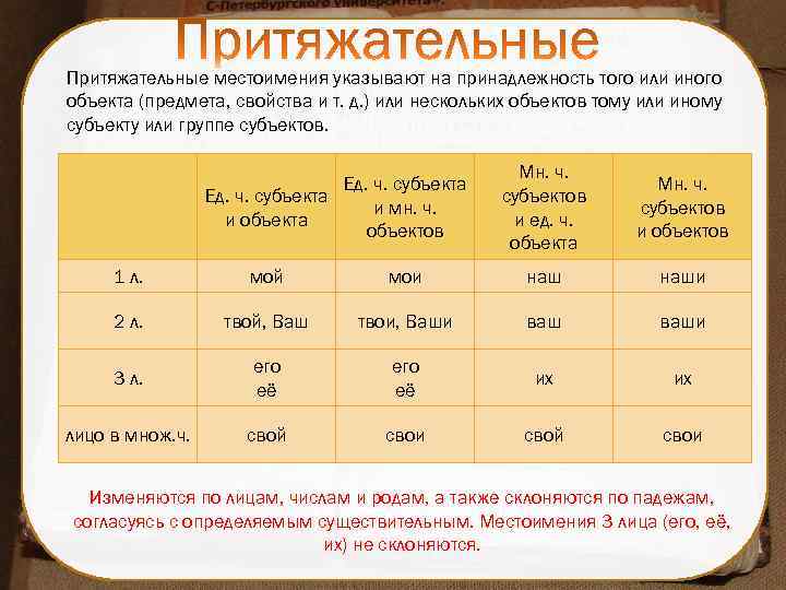 Притяжательные местоимения указывают на принадлежность того или иного объекта (предмета, свойства и т. д.
