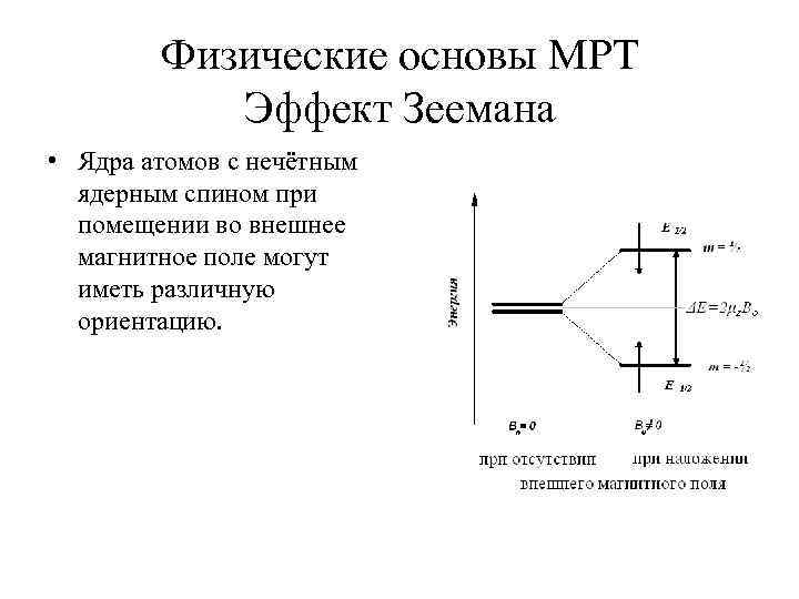 Физические основы мрт презентация