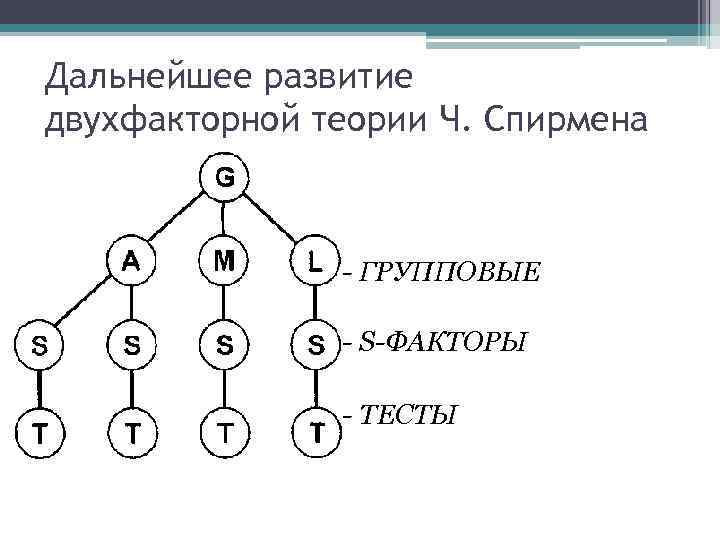 Дальнейшее развитие двухфакторной теории Ч. Спирмена - ГРУППОВЫЕ ФАКТОРЫ - S-ФАКТОРЫ - ТЕСТЫ 