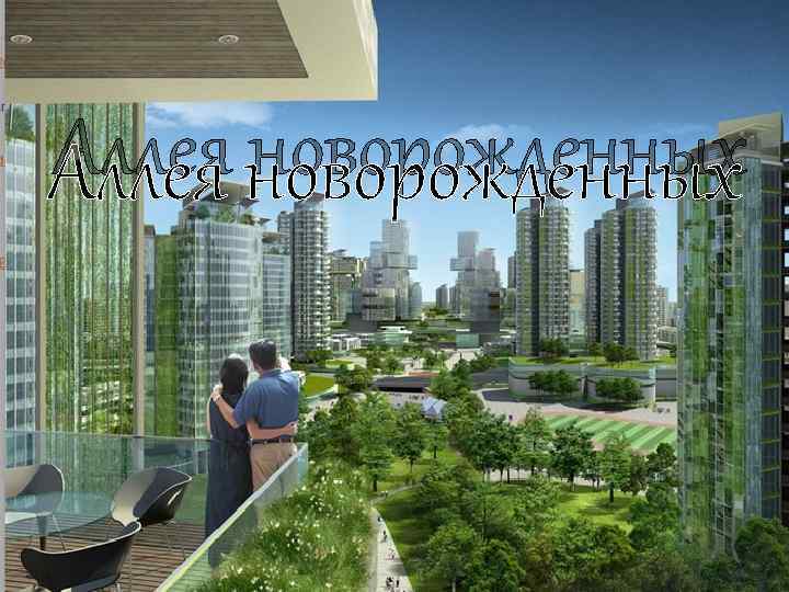 Аллея новорожденных 