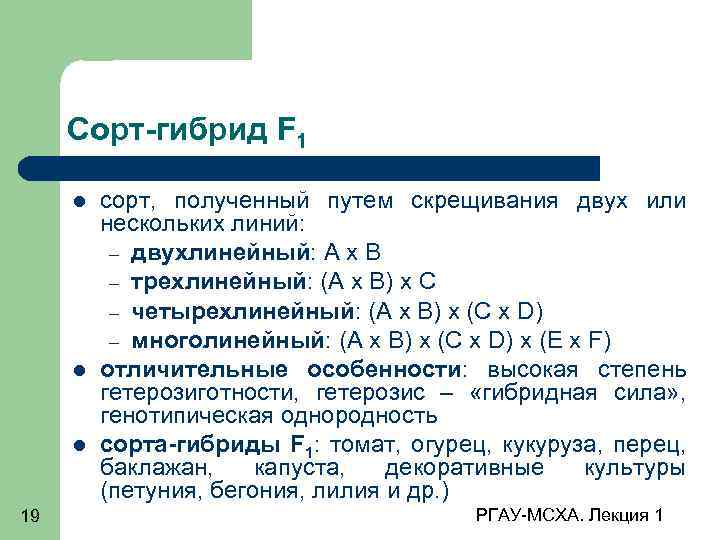 Сорт-гибрид F 1 19 сорт, полученный путем скрещивания двух или нескольких линий: – двухлинейный: