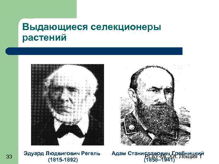 Выдающиеся селекционеры растений 33 Эдуард Людвигович Регель (1815 -1892) Адам Станиславович Гребницкий РГАУ-МСХА. Лекция