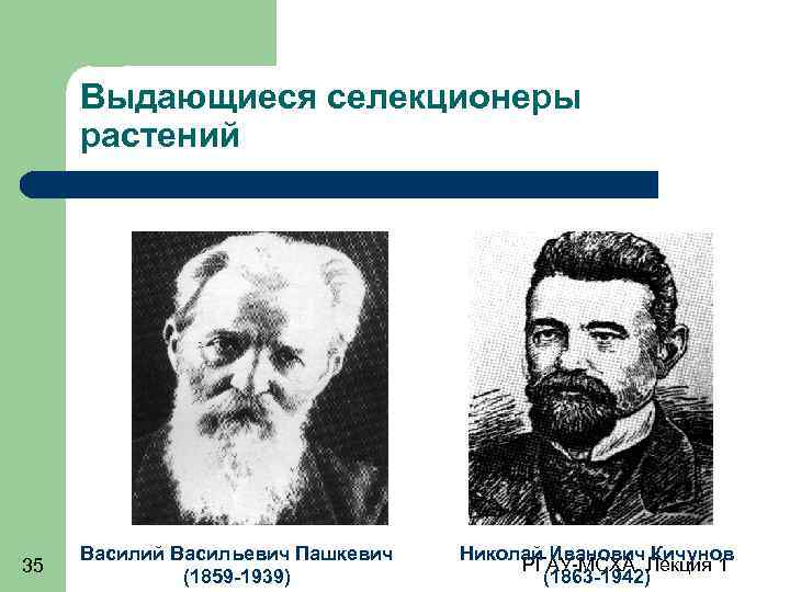 Выдающиеся селекционеры растений 35 Василий Васильевич Пашкевич (1859 -1939) Николай Иванович Кичунов РГАУ-МСХА. Лекция