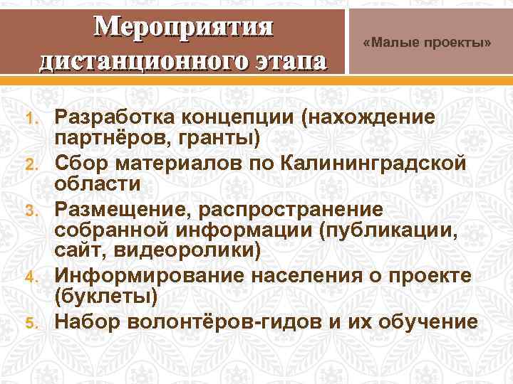 Мероприятия дистанционного этапа 1. 2. 3. 4. 5. «Малые проекты» Разработка концепции (нахождение партнёров,