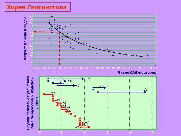 Хорея Гентингтона Возраст начала в годах 60 56 52 48 44 40 36 32