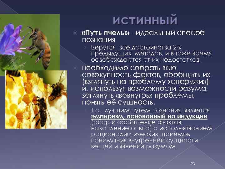 истинный «Путь пчелы» - идеальный способ познания › Берутся все достоинства 2 -х предыдущих