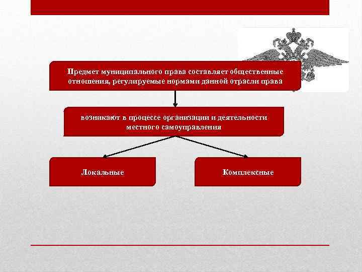 Презентация по муниципальному праву