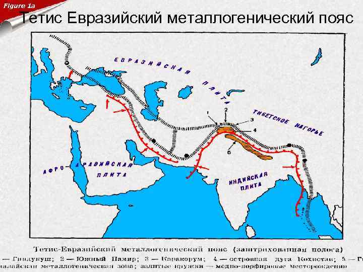 Figure 1 a Тетис Евразийский металлогенический пояс 