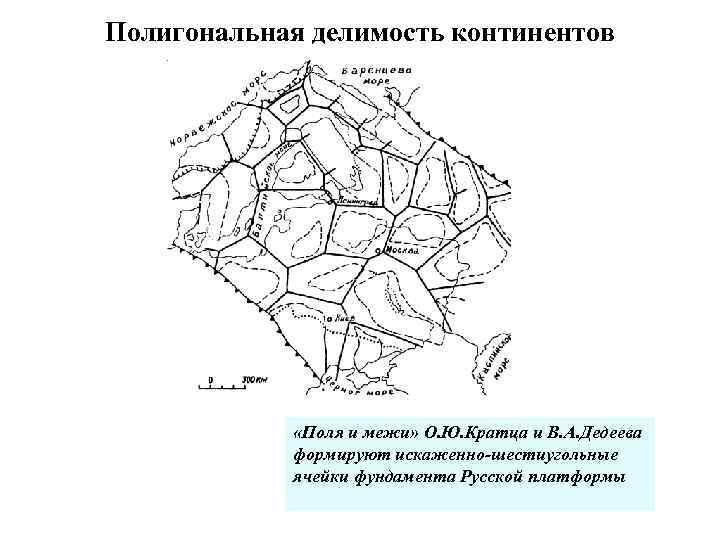 Полигональная делимость континентов «Поля и межи» О. Ю. Кратца и В. А. Дедеева формируют