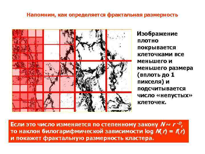 Напомним, как определяется фрактальная размерность Изображение плотно покрывается клеточками все меньшего и меньшего размера