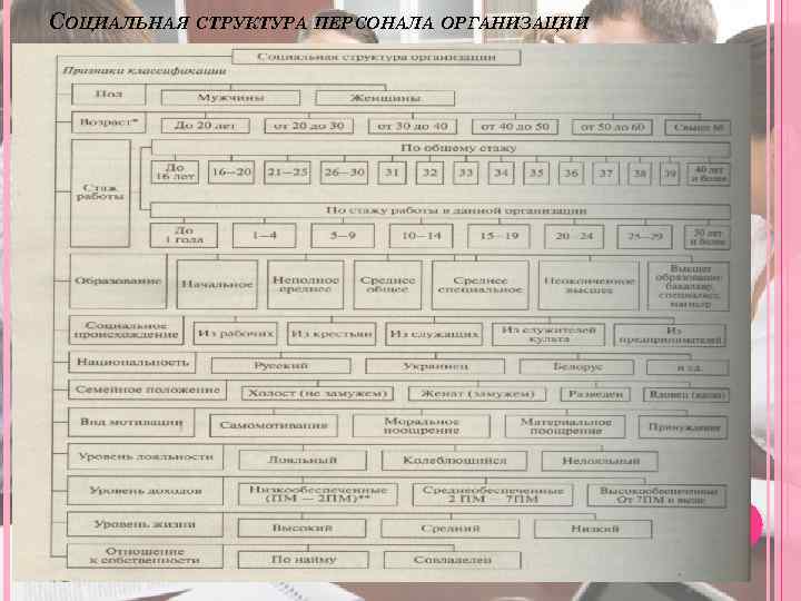 СОЦИАЛЬНАЯ СТРУКТУРА ПЕРСОНАЛА ОРГАНИЗАЦИИ 