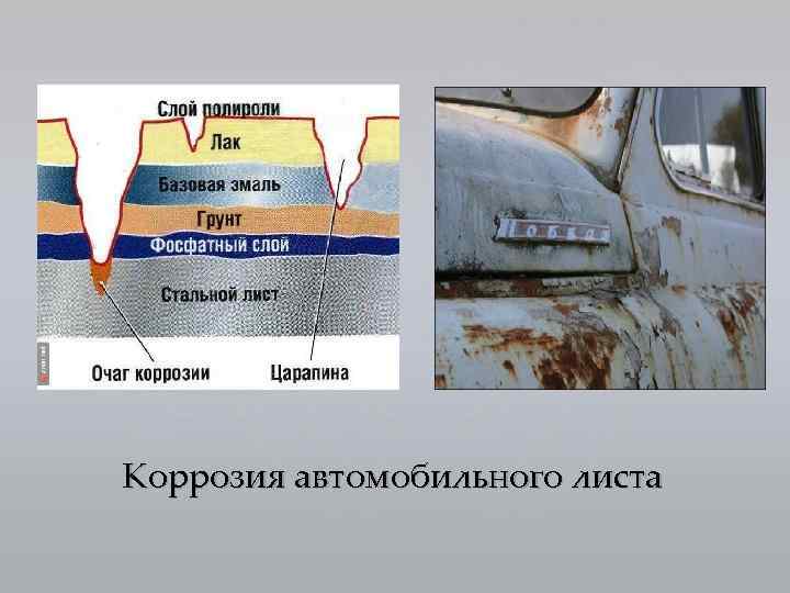 Биохимическая коррозия презентация