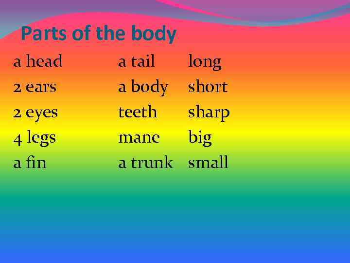 Parts of the body a head 2 ears 2 eyes 4 legs a fin