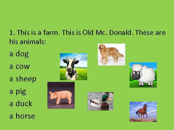 1. This is a farm. This is Old Mc. Donald. These are his animals: