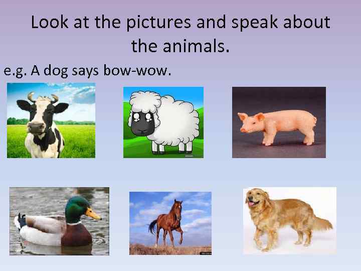 A dog said. What does the Dog say. The Dog says Bow wow. Стихотворение animals Bow wow says the Dog. Bow wow says the Dog стихотворение.