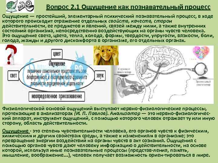 Вопрос 2. 1 Ощущение как познавательный процесс Ощущение — простейший, элементарный психический познавательный процесс,