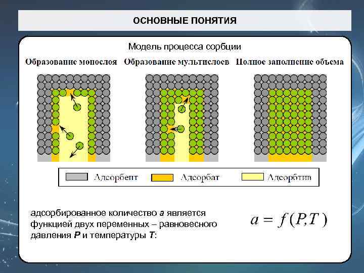 ОСНОВНЫЕ ПОНЯТИЯ Модель процесса сорбции адсорбированное количество a является функцией двух переменных – равновесного