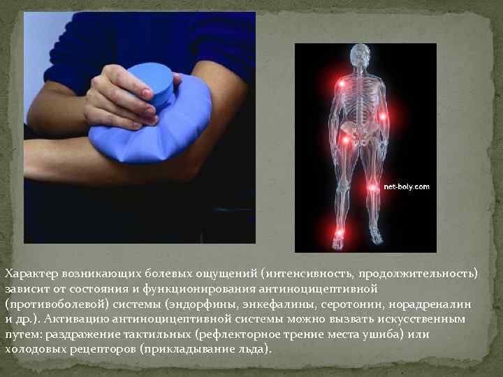 Характер возникающих болевых ощущений (интенсивность, продолжительность) зависит от состояния и функционирования антиноцицептивной (противоболевой) системы