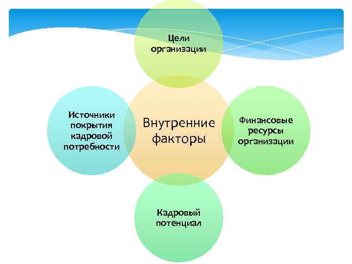 Цели организации Источники покрытия кадровой потребности Внутренние факторы Кадровый потенциал Финансовые ресурсы организации 