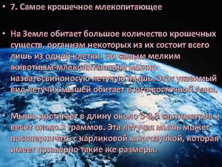  • 7. Самое крошечное млекопитающее • На Земле обитает большое количество крошечных существ,