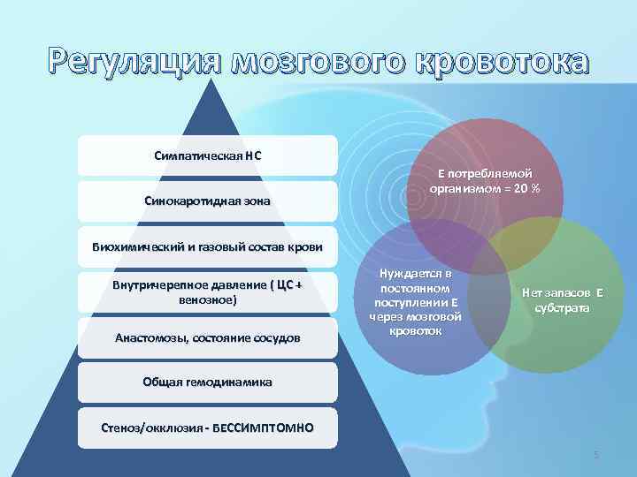 Регуляция мозгового кровотока Симпатическая НС Синокаротидная зона E потребляемой организмом = 20 % Биохимический