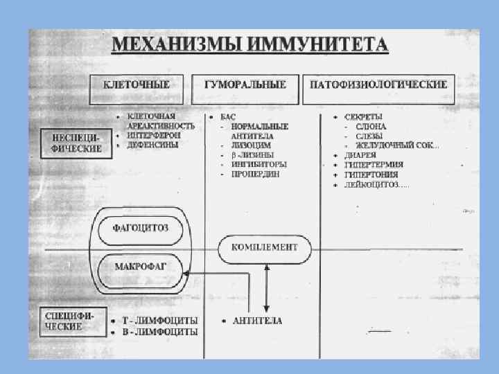 Механизмы иммунитета