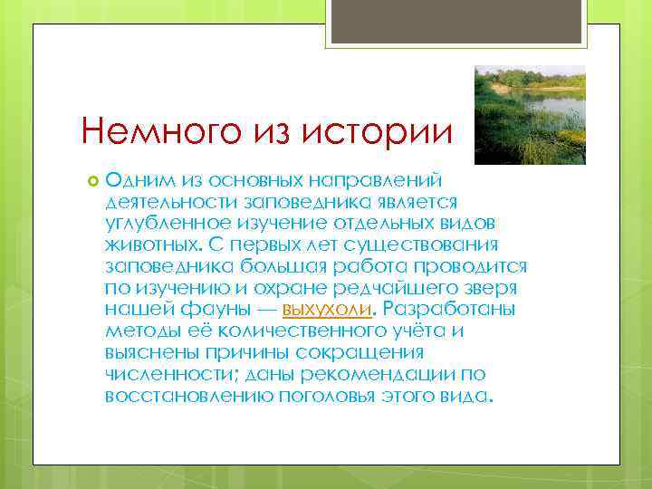 Немного из истории Одним из основных направлений деятельности заповедника является углубленное изучение отдельных видов