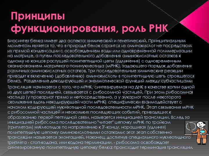 Принципы функционирования, роль РНК Биосинтез белка имеет два аспекта: химический и генетический. Принципиальным моментом