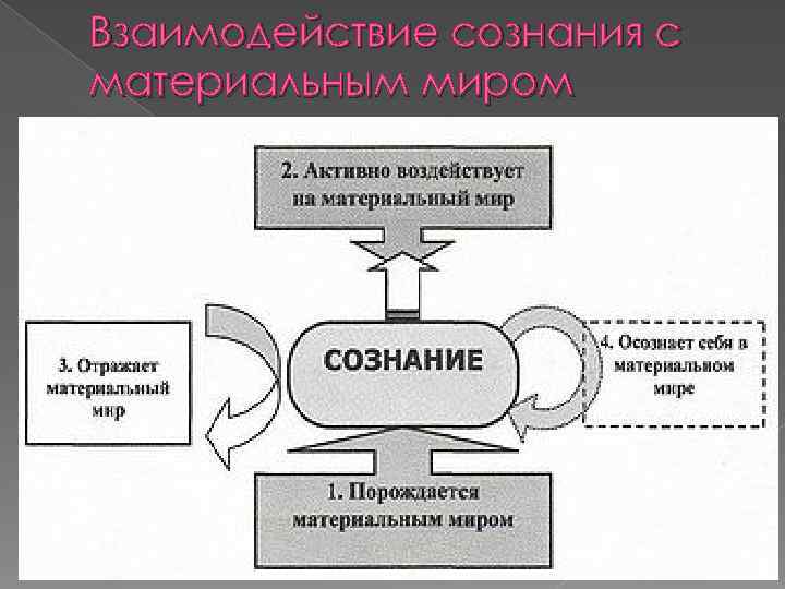 Характеристики сознания схема