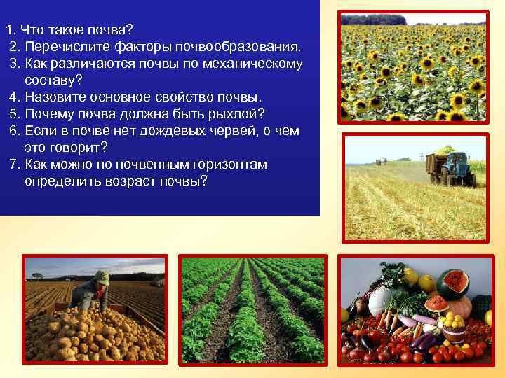 1. Что такое почва? 2. Перечислите факторы почвообразования. 3. Как различаются почвы по механическому