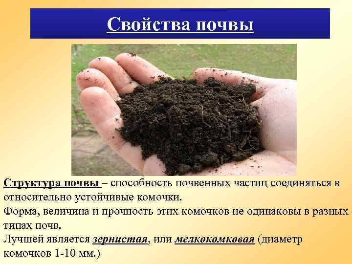 Свойства почвы Структура почвы – способность почвенных частиц соединяться в относительно устойчивые комочки. Форма,