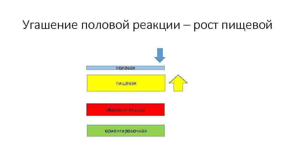 Угашение половой реакции – рост пищевой половая пищевая оборонительная ориентировочная 