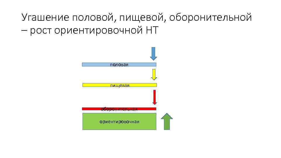 Угашение половой, пищевой, оборонительной – рост ориентировочной НТ половая пищевая оборонительная ориентировочная 