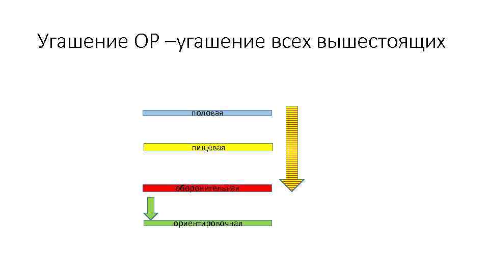 Угашение ОР –угашение всех вышестоящих половая пищевая оборонительная ориентировочная 