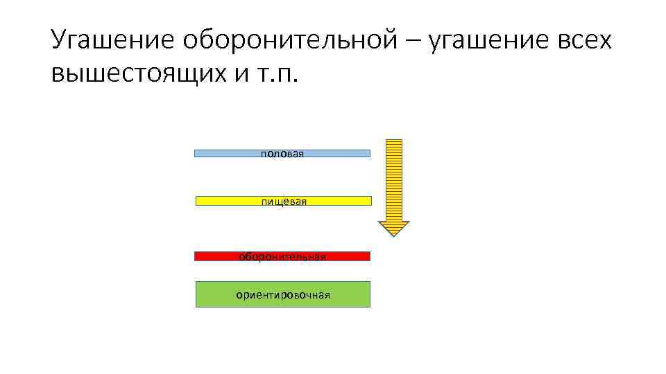 Угашение оборонительной – угашение всех вышестоящих и т. п. половая пищевая оборонительная ориентировочная 