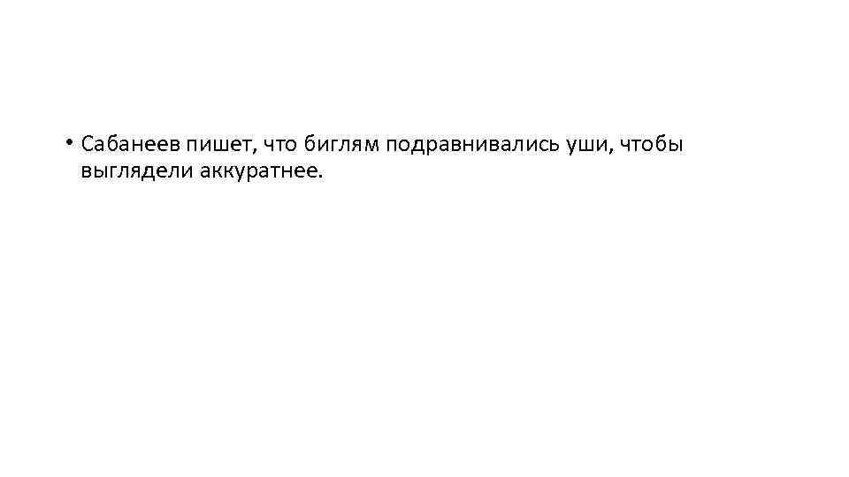  • Сабанеев пишет, что биглям подравнивались уши, чтобы выглядели аккуратнее. 