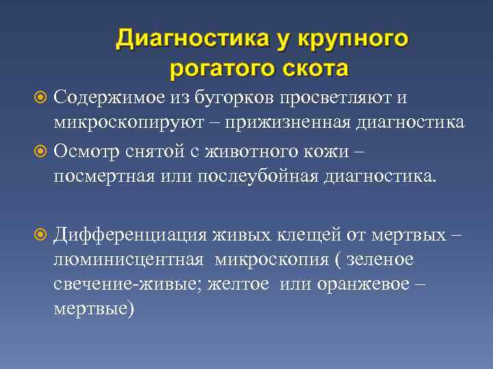 Диагностика у крупного рогатого скота Содержимое из бугорков просветляют и микроскопируют – прижизненная диагностика