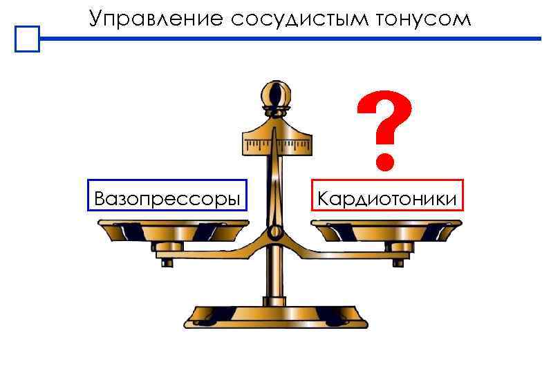 Управление сосудистым тонусом Вазопрессоры Кардиотоники 