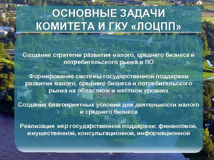 ОСНОВНЫЕ ЗАДАЧИ КОМИТЕТА И ГКУ «ЛОЦПП» Создание стратегии развития малого, среднего бизнеса и потребительского