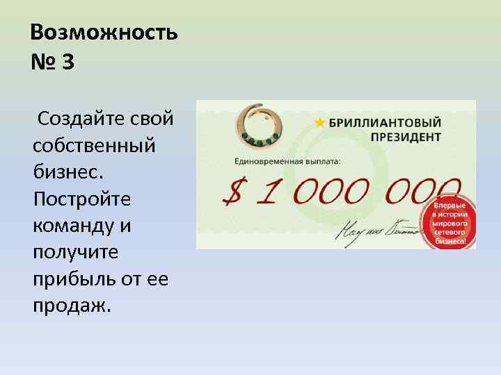 Возможность № 3 Создайте свой собственный бизнес. Постройте команду и получите прибыль от ее