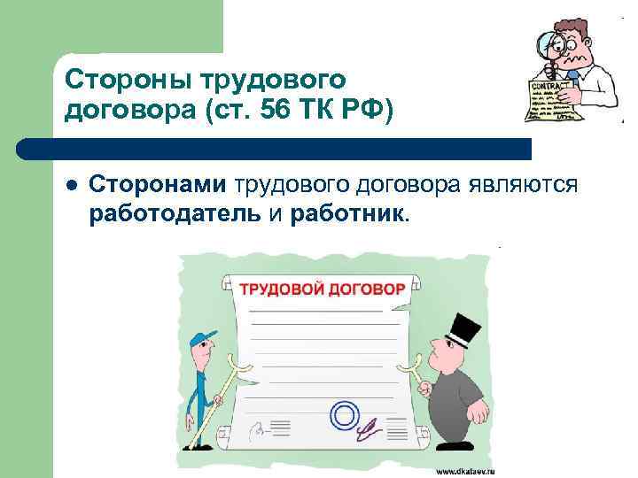 Стороны трудового договора (ст. 56 ТК РФ) l Сторонами трудового договора являются работодатель и