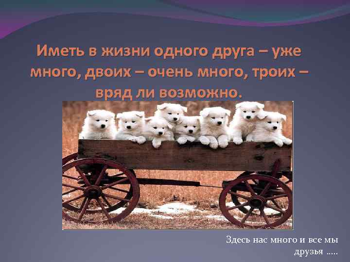 Иметь в жизни одного друга – уже много, двоих – очень много, троих –