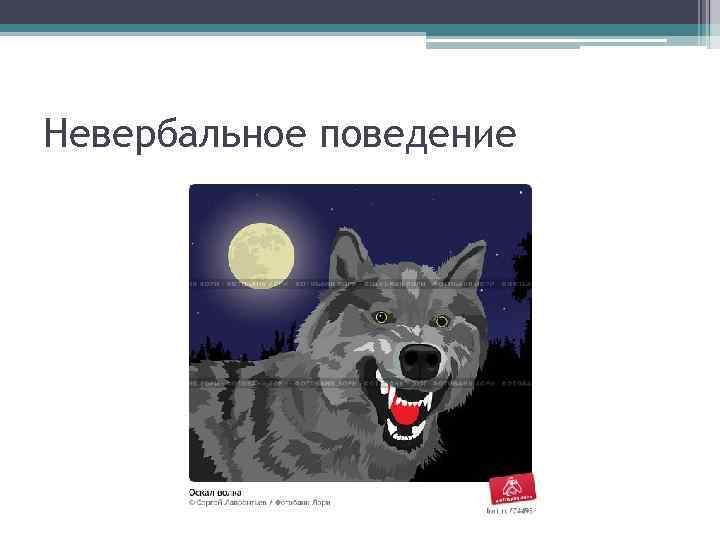 Невербальное поведение 